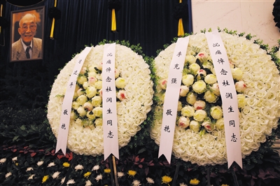  八宝山 百米长队 送别杜润生 |农业|农民_凤凰资讯