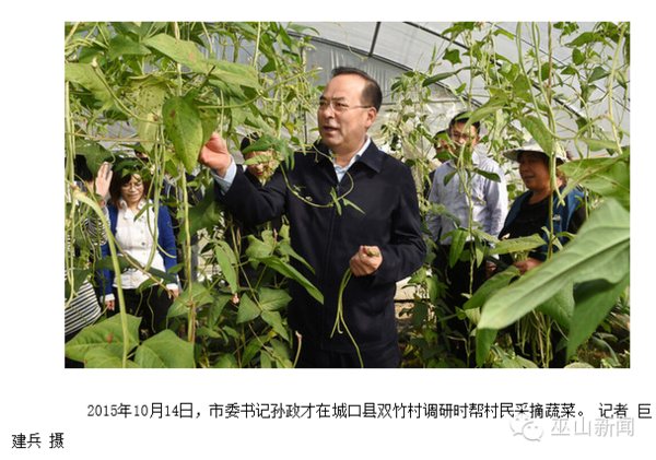 重庆副市长陈绿平来巫山调研 还有哪些省部级