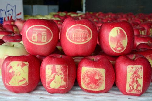 日本现带图苹果 蒙娜丽莎凯旋门齐上阵(图)|苹