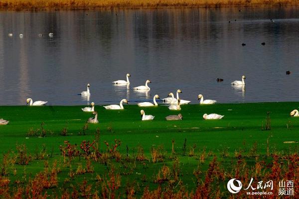 (图说中国 王与东摄)