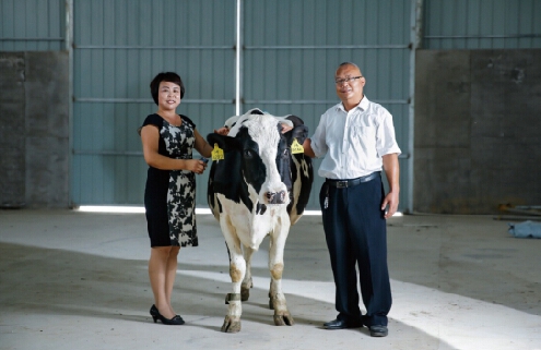 肯借钱,宜信普惠融资租赁开创首例活体租赁|