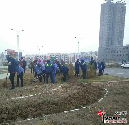 乌苏市启动省道S115乌苏段绿化节点改造工程