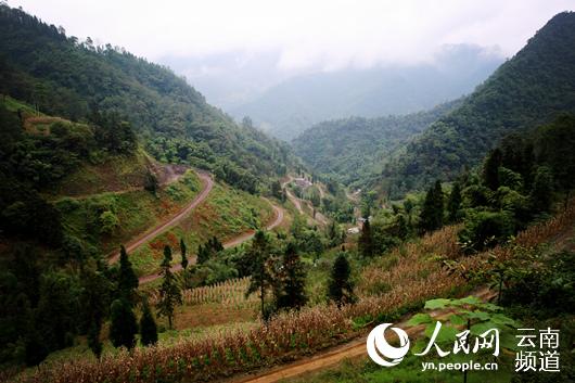 绥江县的农村公路 人民网 薛丹 摄
