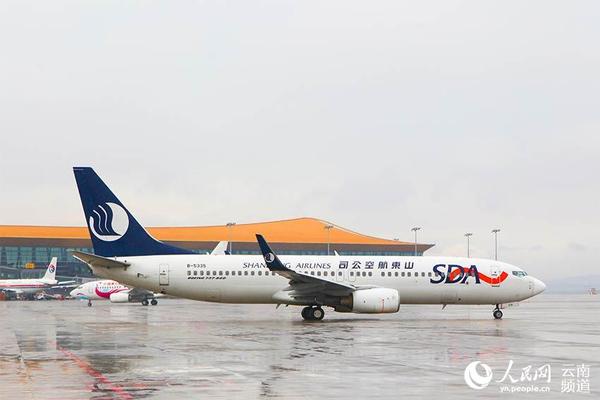 执飞的波音737-800型客机。（倪嘉云 摄 ）