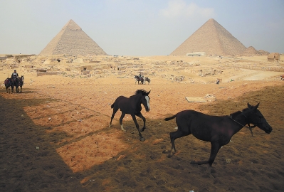 埃及开罗的美称图片