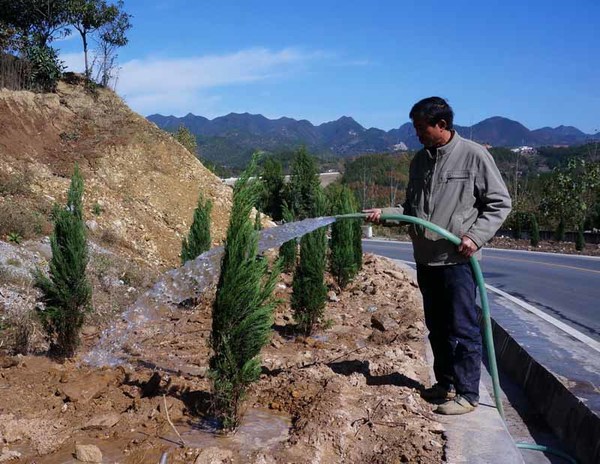 图为养路工正在为景观树浇水时的情景