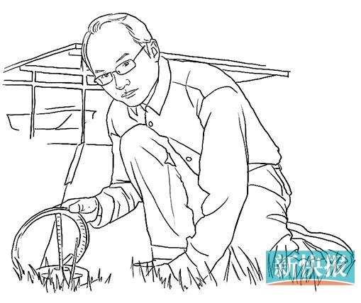 ●工作需要,研究人员会对蚁巢进行标记,分别用红、黄、蓝三色标志物来标记。