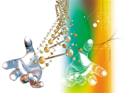 农业基因组研究 中国跃居世界前列|农业|水稻_凤凰资讯