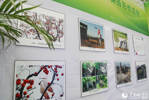 “美丽陕西”生态环保摄影作品展。高岗 摄