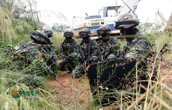 狼兵突击队诠释勇猛剽悍|课目|特战_凤凰资讯