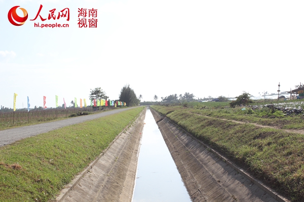 陵水各镇人口_海南陵水千禧(2)