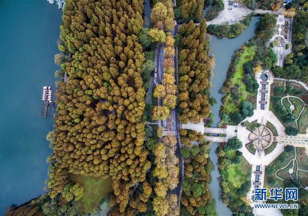 　　    空中俯瞰杭州西湖景区美景（11月25日摄）。新华社记者 徐昱 摄