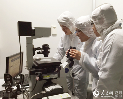 张晗带领的“二维材料先进光电器件研发团队”入选深圳孔雀团队名单。(夏凡 摄)