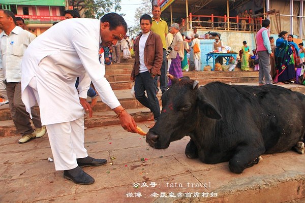 去飘着尸体的恒河洗个澡（印度连载44） <wbr>