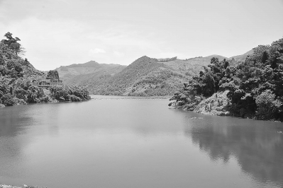 治理中的长万水库，水质变清了。