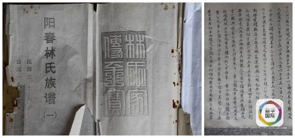 阳春林氏族谱