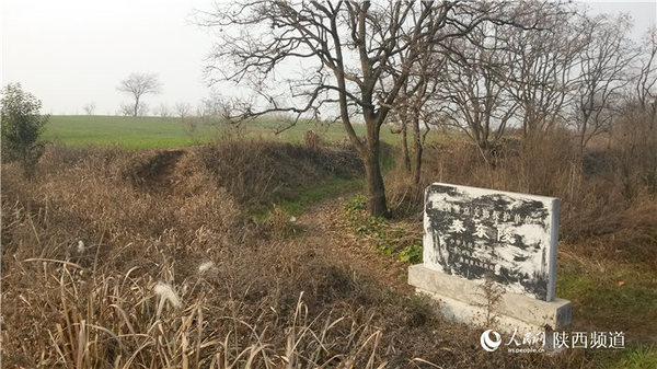 考古学家认为，“芈月”的原型“秦宣太后”就埋葬于不远处的麦田下。