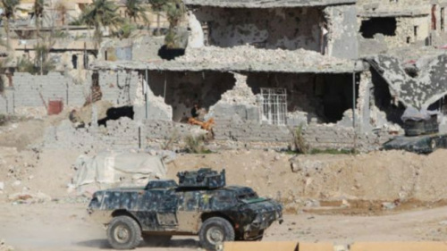 伊拉克政府军装甲车进入拉马迪市区。