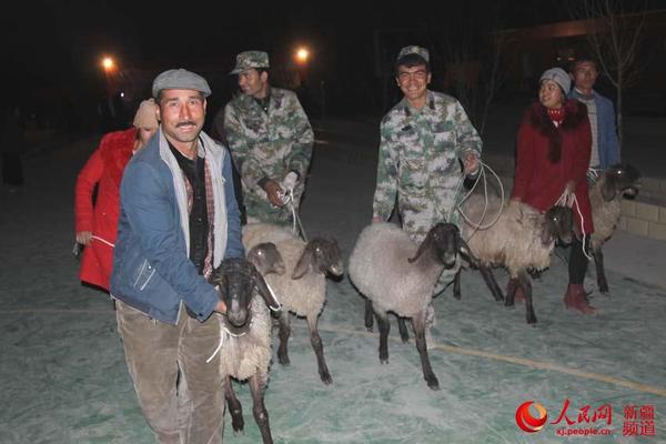 贫困户们开心地将生产母羊牵回家。