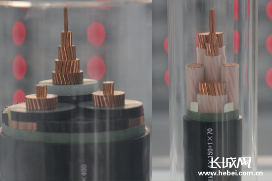 唐山创元方大电气有限责任公司的生产的电线电缆。长城网 贺宏伟 摄