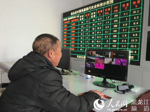 抚远县对俄果蔬现代农业科技示范基地视频监控系统。杨海全 摄