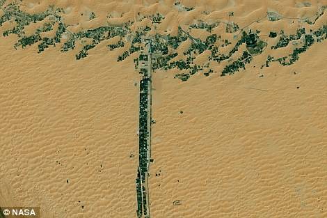 　　T：阿联酋沙漠中的公路及周边人类活动的痕迹，图片来自Landsat8卫星成像仪↑