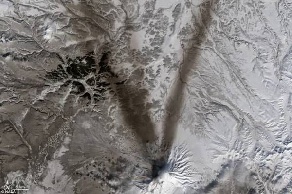 　　V：俄罗斯希韦卢奇火山飘出的火山灰印衬在山顶皑皑积雪上，图片来自Landsat8成像仪↑