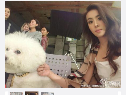 蔡依林为爱犬庆生 爱犬顶 爱心发型 喜感 大笑 