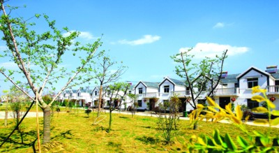 图说美好乡村|党组织|五个好