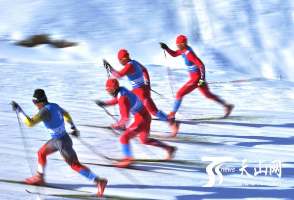 越野滑雪,运动员在比赛中。