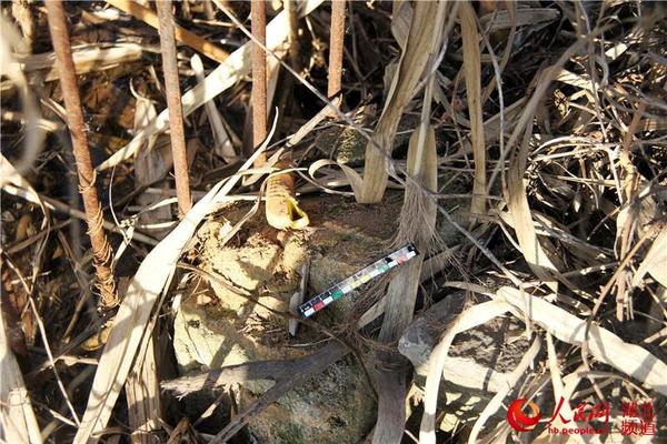 院墙下发现裁纸刀