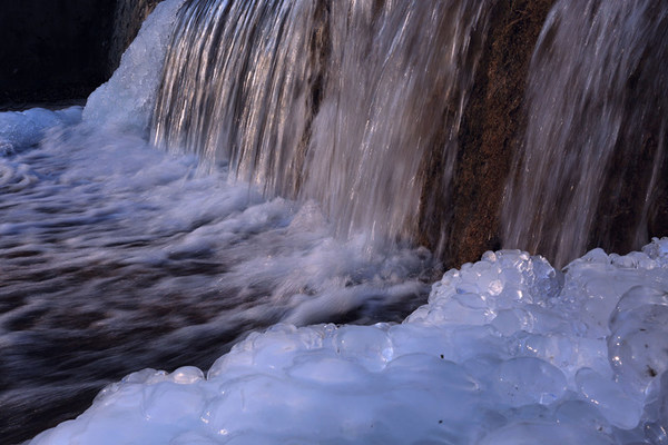 刘文礼、李继全摄