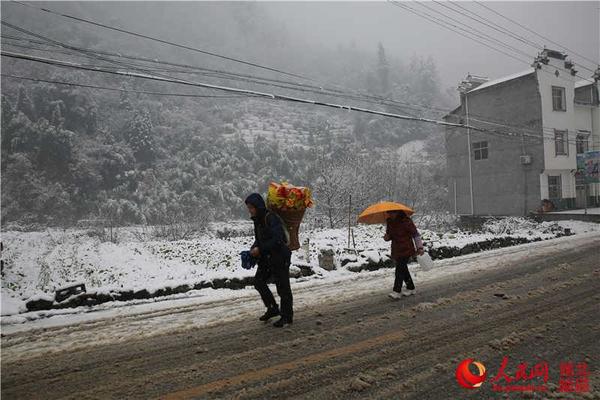 三峡库区秭归普降大雪 乡村美如画|气象|降雪