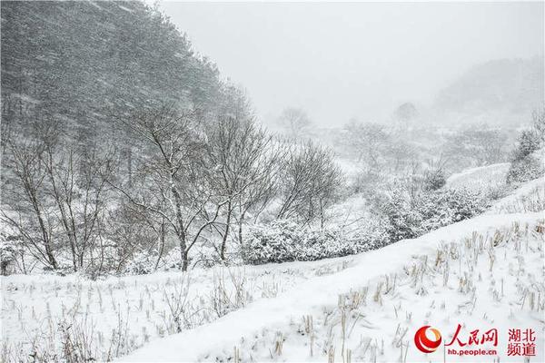 林海雪原