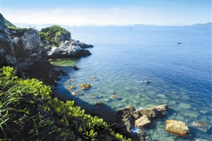 大鹏新区生态文明建设结硕果