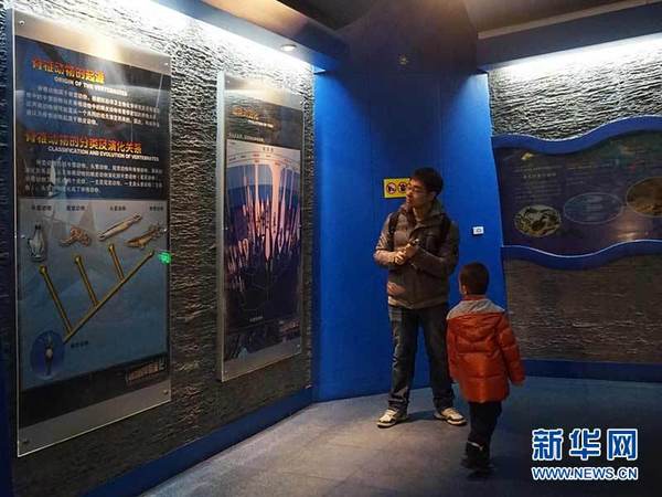 　　不仅仅是孩子们对这些恐龙着迷，家长们也是流连忘返。新华网 姜俊吉 摄