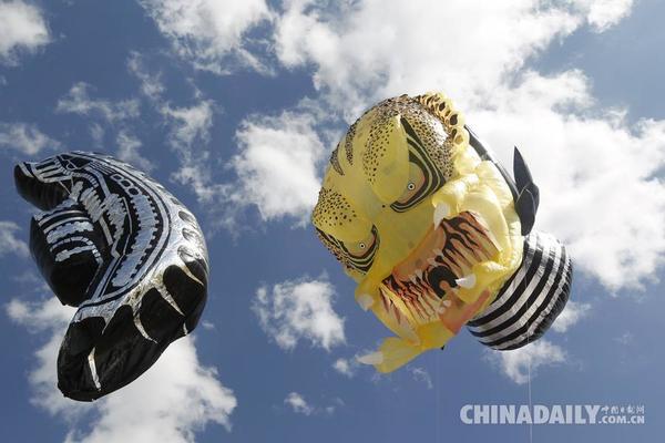 在第十五届哥伦比亚太阳能气球节上,出现了以电影《异形大战铁血战士》里的角色为原型的气球。(图片来源:路透社)