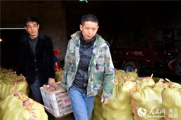 郭新财在抬红苕（后者）
