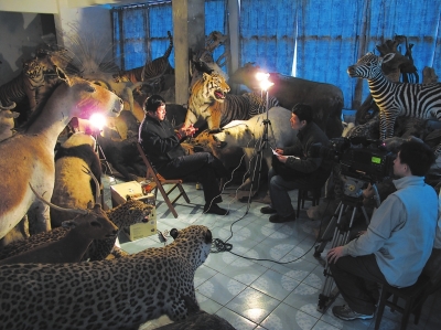 身处王炳寿的工作室，就仿佛置身于野生动物世界。