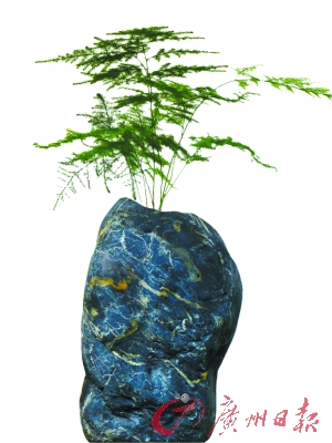 带有独特纹理的石头花盆。