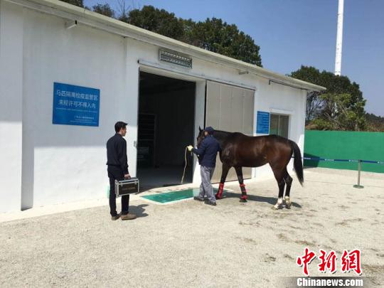 广州马会赛马运动训练中心建设取得重要进展|