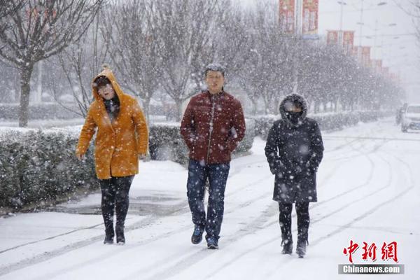 甘肃庆阳遭遇倒春寒 一场春雪返冬|气象台|气
