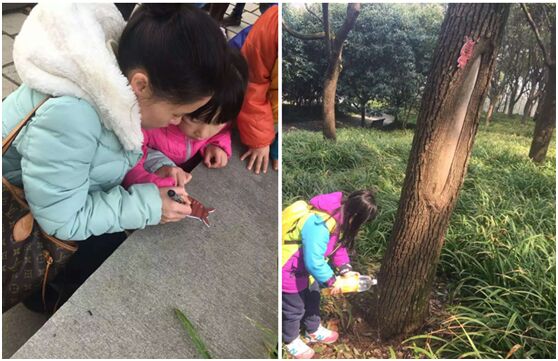 驴妈妈带宝宝认养树木过植树节 世纪公园人气