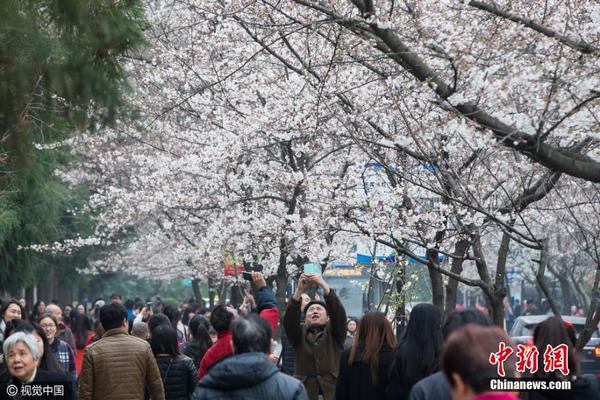 3月14日，南京鸡鸣寺路边的樱花在春日的暖阳中竞相绽放，吸引了众多市民前来赏花拍照，领略大好春光。苏阳 摄 图片来源：视觉中国
