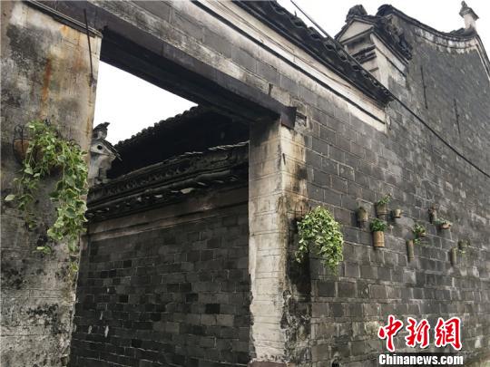 图为奉化市居敬村的特色弄堂　李佳赟　摄