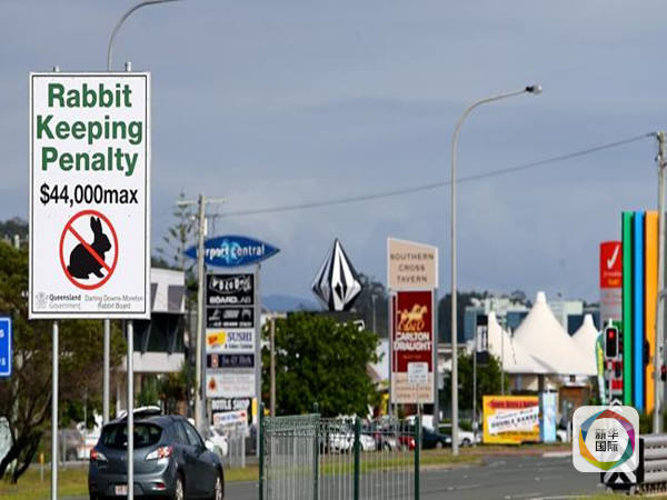 　　昆州街道上禁止养兔子的标牌