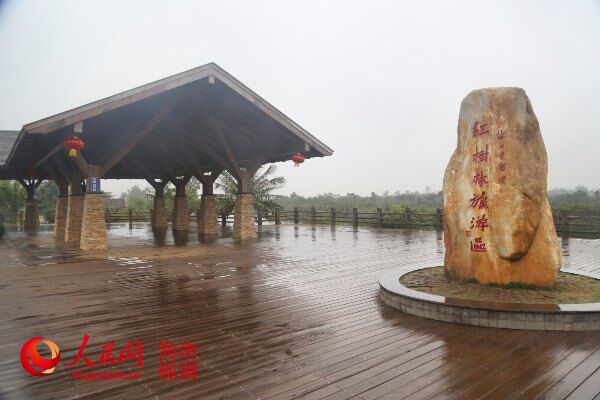 红树林游览景区