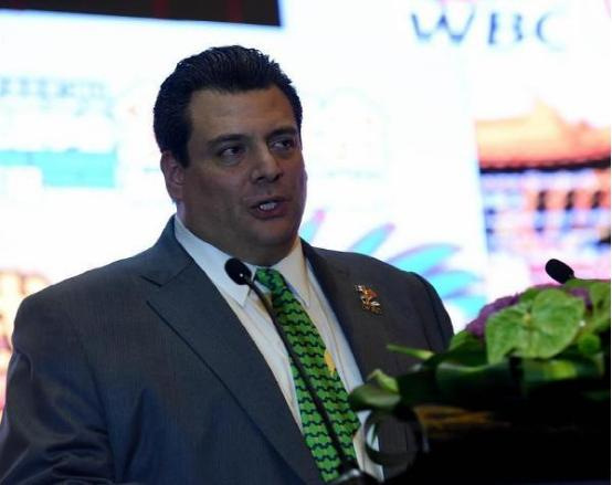 WBC禁止职业拳王去打奥运会|射门|拳击