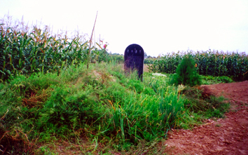 什么叫做拜山 722accde-8416-4677-830b-e234a4fb2046_size116_w354_h221.jpg