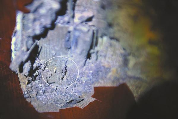 工作人员掏开被白蚁侵蚀过的木结构门框。